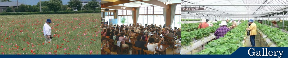 はらたけ岩海後援会 竹友会(女性部)いちご狩り・ポピー観賞・キリンビール工場見学
平成18年6月14日